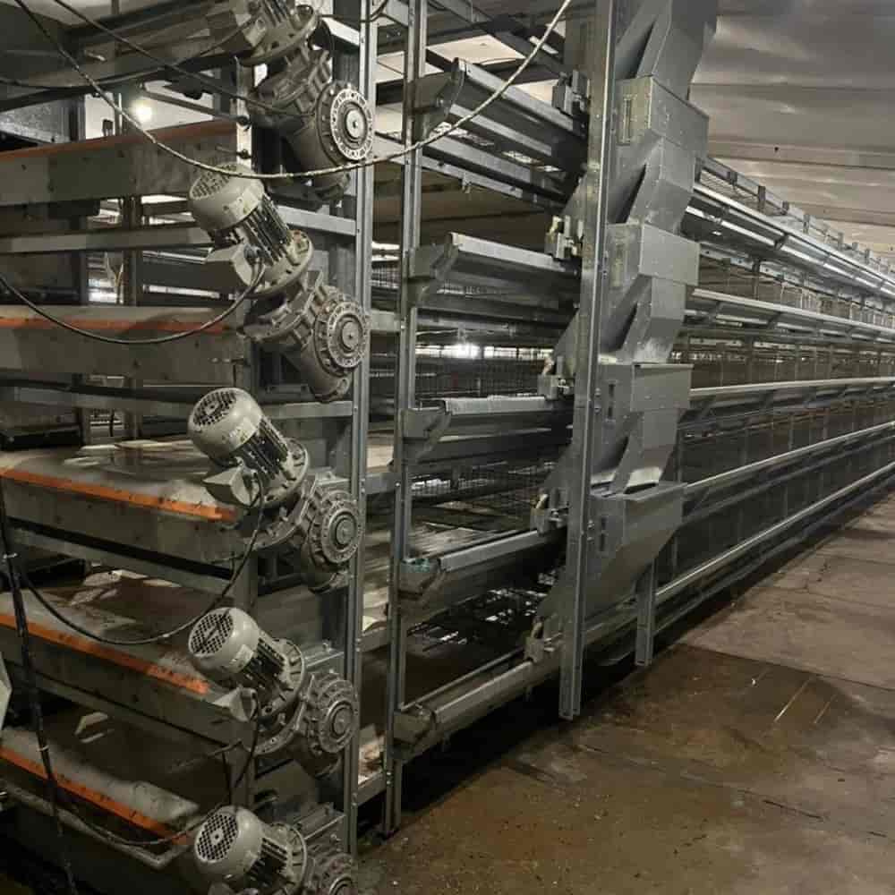 Quail automatic cage